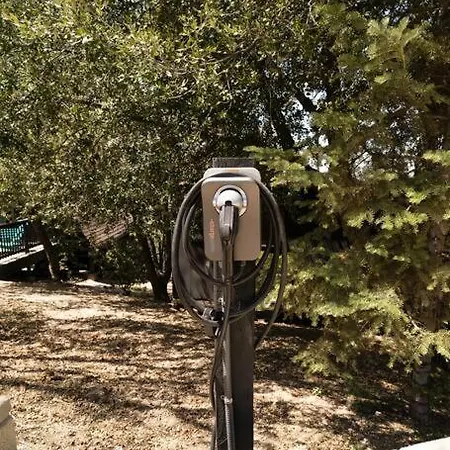 Dog Friendly A-Frame Hot Tub Nature Views Idyllwild Exterior photo