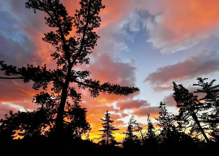 Dog Friendly A-Frame Hot Tub Nature Views
