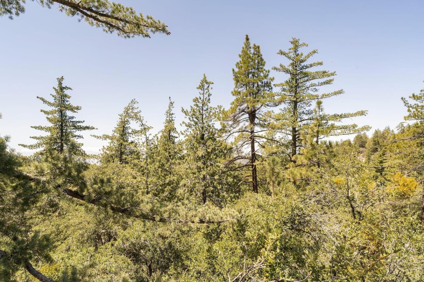 Holiday home Dog Friendly A-frame Hot Tub Nature Views *