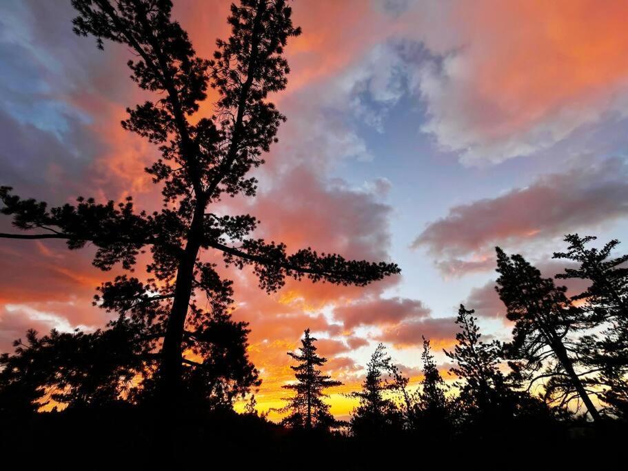 Dog Friendly A-frame Hot Tub Nature Views