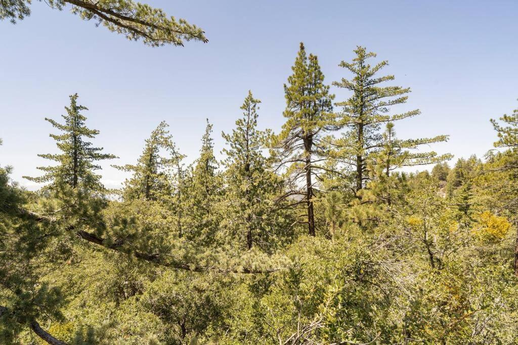 Dog Friendly A-frame Hot Tub Nature Views *